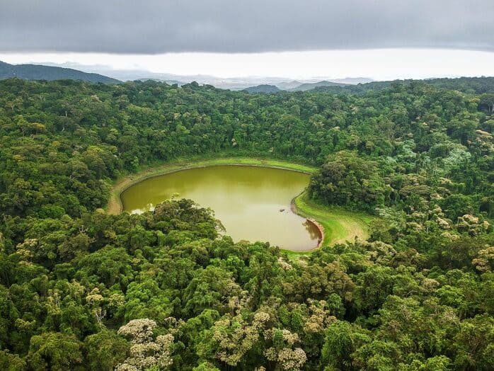 Foret tropical Malgache